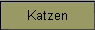 Katzen