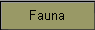 Fauna