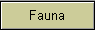 Fauna