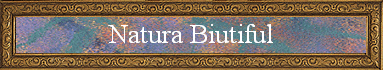 Natura Biutiful