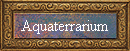 Aquaterrarium